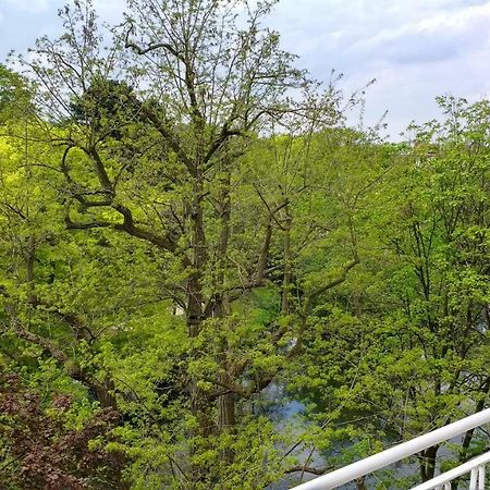 Ferienwohnung Parkblick Bremen Ngoại thất bức ảnh